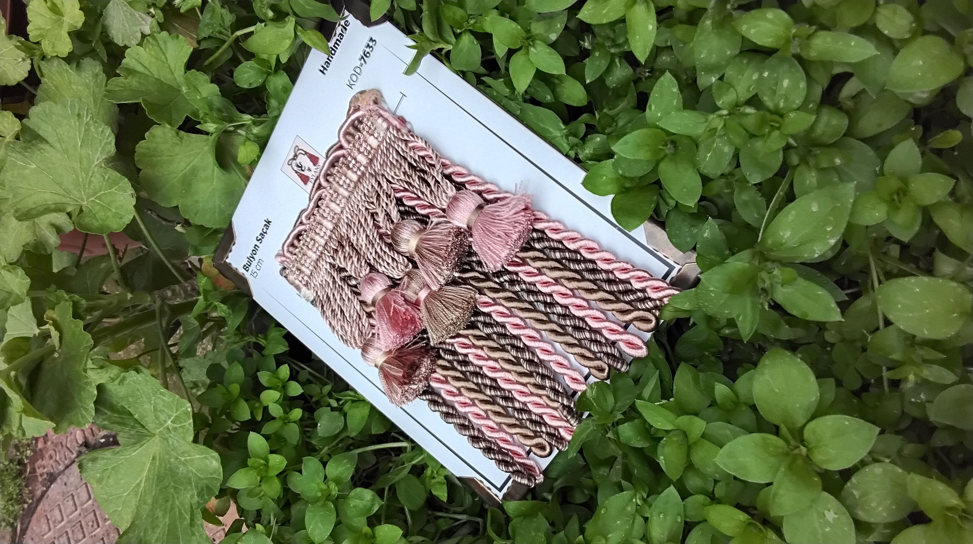 Meksika mantar  bulyon 